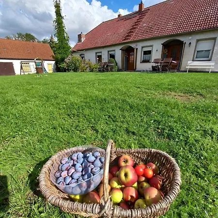 Apartmán Familienhof Mueritz Klein Plasten