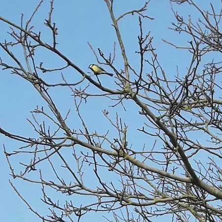 Familienhof Mueritz *