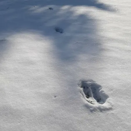 Apartmán Familienhof Mueritz *