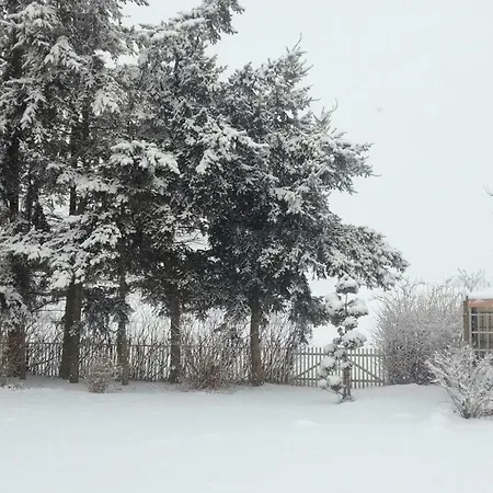 Familienhof Mueritz Klein Plasten
